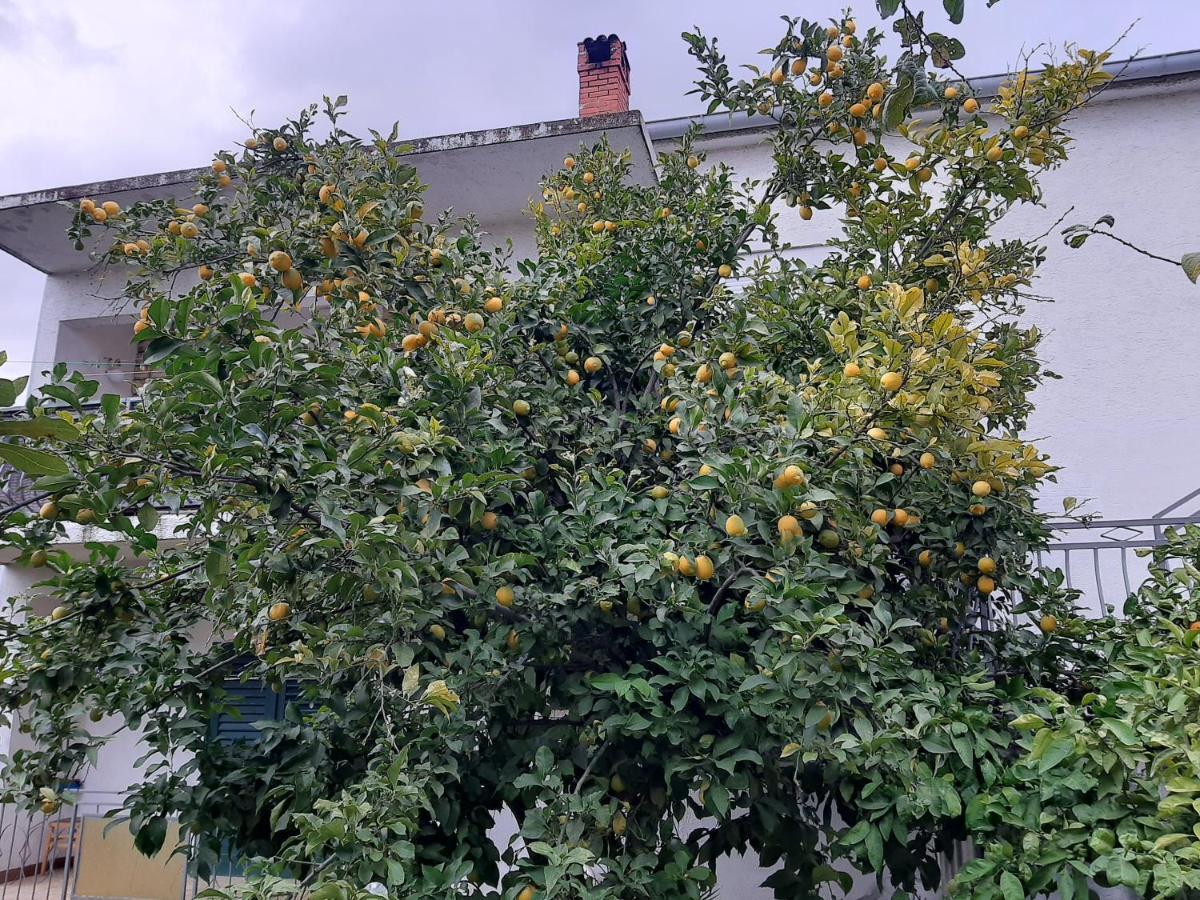 Appartement Sarko *